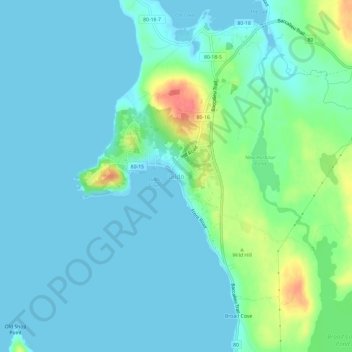 Dildo地形图、海拔、地势
