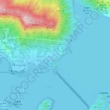 大美督村地形图、海拔、地势