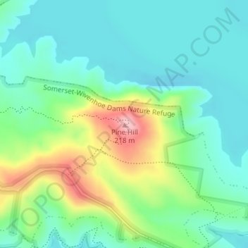 Pine Hill地形图、海拔、地势
