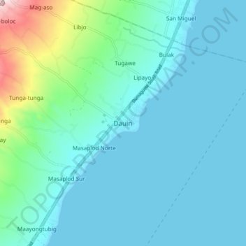 Dauin地形图、海拔、地势