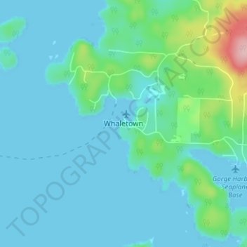 Whaletown地形图、海拔、地势