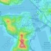 青輝新村地形图、海拔、地势