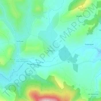 Montaigut地形图、海拔、地势