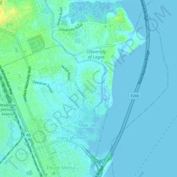Iwaya地形图、海拔、地势
