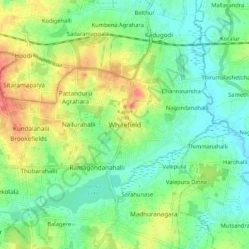 Whitefield地形图、海拔、地势