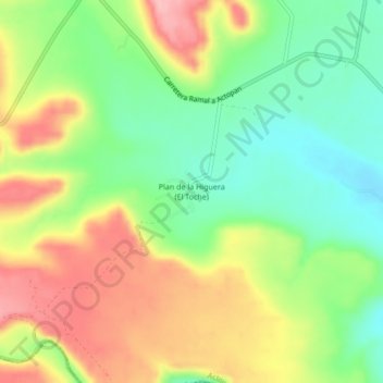Plan de la Higuera (El Toche)地形图、海拔、地势