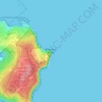Blue Fish Point地形图、海拔、地势