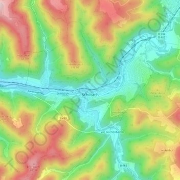 Schiltach (Stadt)地形图、海拔、地势