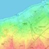 大園區地形图、海拔、地势