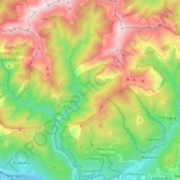 Cossogno地形图、海拔、地势