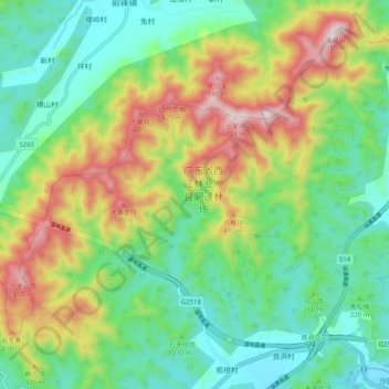 广东省西江林业局良洞迳林场地形图、海拔、地势